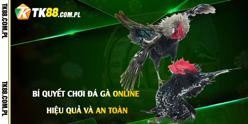 Bí-quyết-chơi-đá-gà-online-hiệu-quả-và-an-toàn