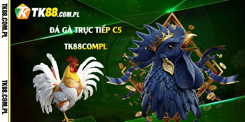 Đá Gà Trực Tiếp C5 - Video Đá Gà Trực Tiếp Tk88 Đang Diễn Ra 6 Đá-Gà-Trực-Tiếp-C5