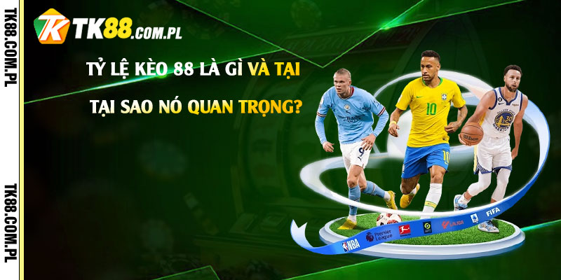 Tỷ Lệ Kèo 88 Là Gì Và Tại Sao Nó Quan Trọng?