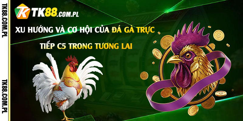 Đá Gà Trực Tiếp C5 - Video Đá Gà Trực Tiếp Tk88 Đang Diễn Ra 4 Xu hướng và cơ hội của Đá Gà Trực Tiếp C5 trong tương lai